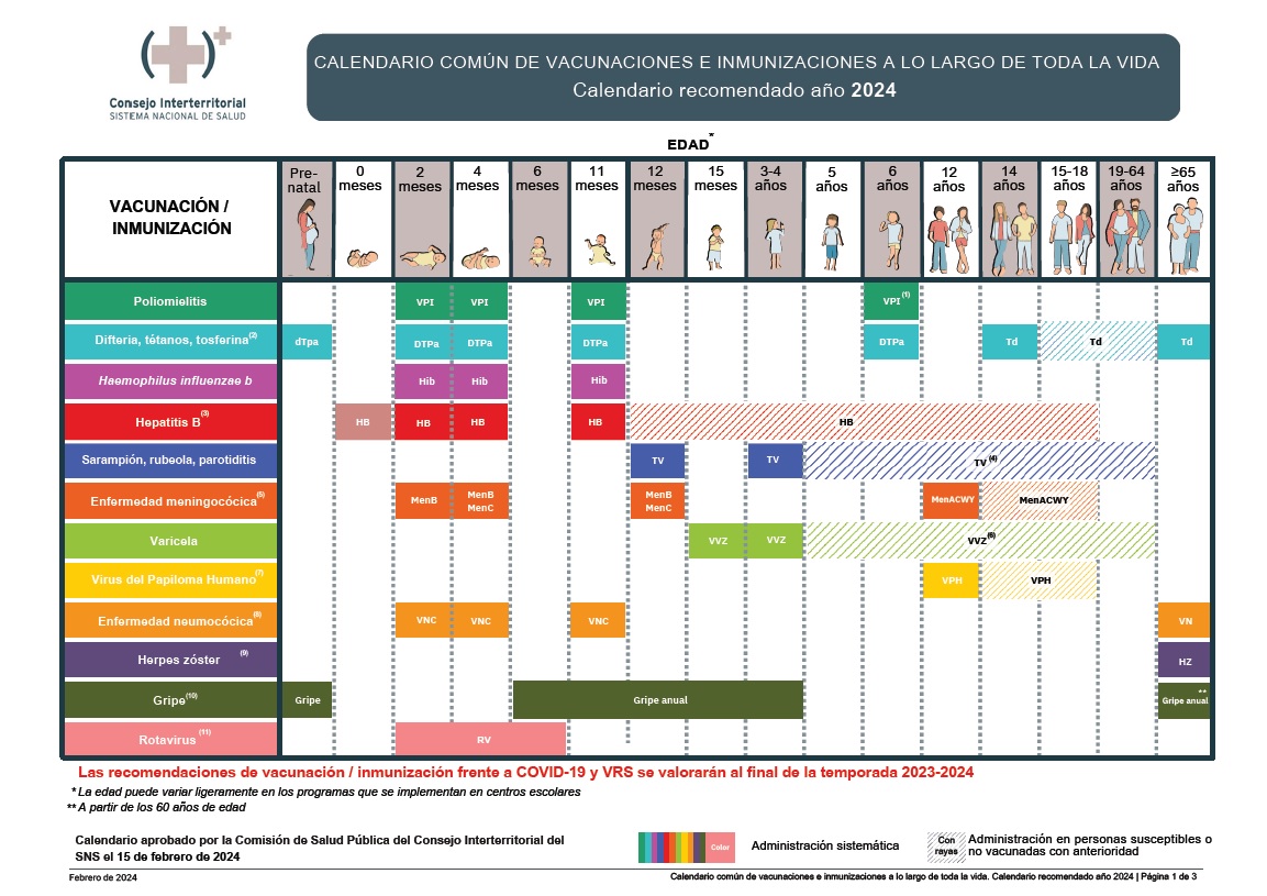 Calendario de vacunación a lo largo de toda la vida