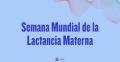 02/08/2024 - Se consolida la sustitución de la lactancia materna por fórmula adaptada para eliminar el riesgo de transmisión del VIH