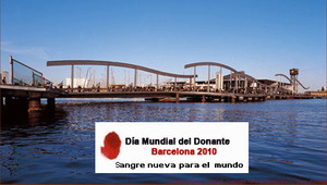 Día Mundial del Donante de Sangre 2010